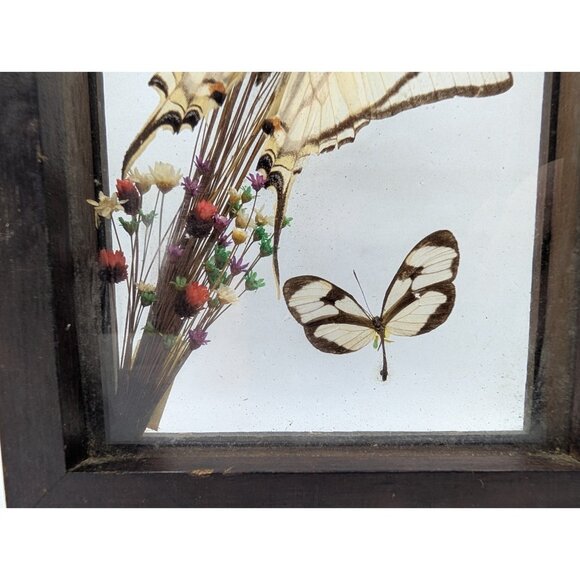 Vintage Shadow Box Butterflies Flowers display glass 12.4" x 5.4" boho READ - Picture 6 of 16